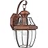 Quoizel NY8316AC Newbury Light Outdoor Wall Lantern, Aged Copper