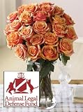 Two Dozen Animal Legal Defense Fund Roses - B001LKN4JW