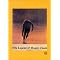 The Legend Of Bigfoot (Sasquatch Flicks)