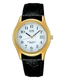 ALBA (アルバ) 腕時計 ソーラーウオッチ APFD208 メンズ