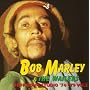 Tuff Gong & Studio 74-79, Vol. 2