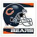 Chicago Bears Stick Flag