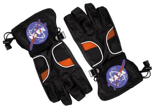 Aeromax Astronaut Gloves, Black, Large