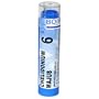 Boiron Homeopathic Medicine Chelidonium Majus, 6C Pellets, 80-Count Tubes (Pack of 5)