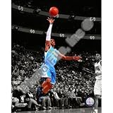 Chris Paul Hornets Spotlight 8x10 Photo