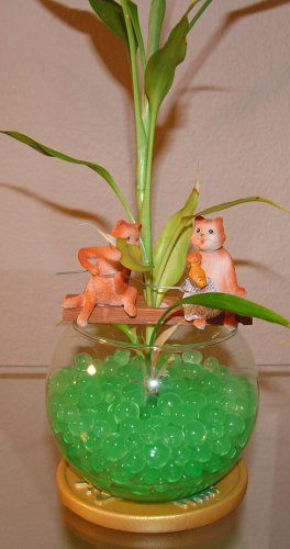 Glass Fish Bowl W Cristal Soil for Lucky Bamboo