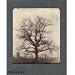 William Henry Fox Talbot