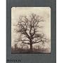 William Henry Fox Talbot
