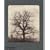 William Henry Fox Talbot