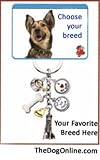 Basset Hound - Dog Lover 6 Charms Keychain by Little Gifts