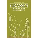 grasses an identification guide peterson nature series 1st edition