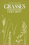 Grasses: An Identification Guide