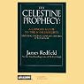 The Celestine Prophecy: A Concise Guide to the Nine Insights