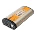 Wagan 2016-6 700 Watt Continuous Power Slim Line AC Inverter