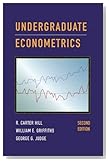  Undergraduate Econometrics
