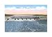 Chickamauga Dam, Chattanooga, Tennessee Art Print, 17 x 11