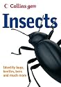Insects (Collins GEM)