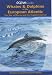 Whales and Dolphins of the European Atlantic (Ocean Guides)