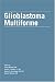 Books : Glioblastoma Multiforme