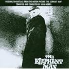 Elephant Man by John Morris