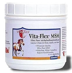 Vita Flex MSM 2lb