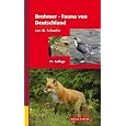 Produkt-Information 