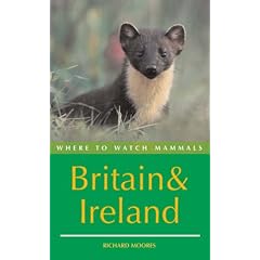 Where to Watch Mammals in Britain and Ireland