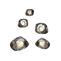 5-pc. Halogen Rock Light Set with Sensor.