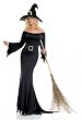 Cauldron Witch Adult X-LARGE