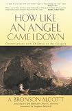 How Like an Angel Came I Down: Conversations With Children on the Gospels