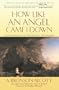 How Like an Angel Came I Down: Conversations With Children on the Gospels