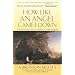 How Like an Angel Came I Down: Conversations With Children on the Gospels