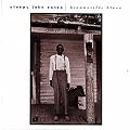 Brownsville Blues: His 23 Greatest Songs