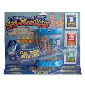 Sea monkey Wrist aquarium