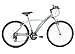 Raleigh Roam Unisex Bike - 26" Inch