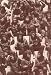 136-367 - Planet of the Apes 4x6 movie postcard