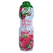 Raspberry (Framboise) Teisseire all natural Raspberry Syrup 600 ml 20.3oz
