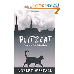 Blitzcat