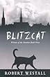 Blitzcat