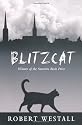 Blitzcat