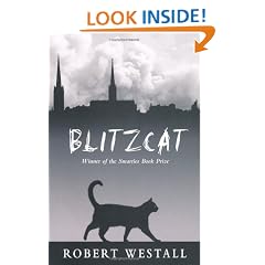 Blitzcat