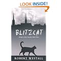 Blitzcat