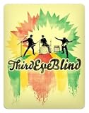 Music Skins iPad用フィルム  Third Eye Blind - Rhasta  iPad  MSIPAD0188 blind