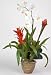 Double Bromeliad/Orchid Silk Flower Arrangement - Cream