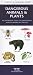 Book Dangerous Animals and Plants: An Introduction to Dangerous North American Species (Pocket Naturalist - Waterford Press)