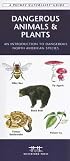 Dangerous Animals and Plants: An Introduction to Dangerous North American Species (Pocket Naturalist - Waterford Press)