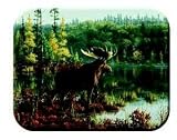 Tuftop Tempered Glass Kitchen Board, Wildlife Collection - Moose