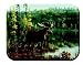 Tuftop Tempered Glass Kitchen Board, Wildlife Collection - Moose