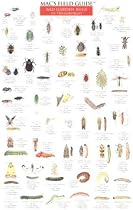 Mac's Field Guide: Bad Garden Bugs of the Northeast/Good Garden Bugs of the Northeast (Mac's Guides (Charts))