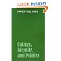 Culture, Identity, and Politics